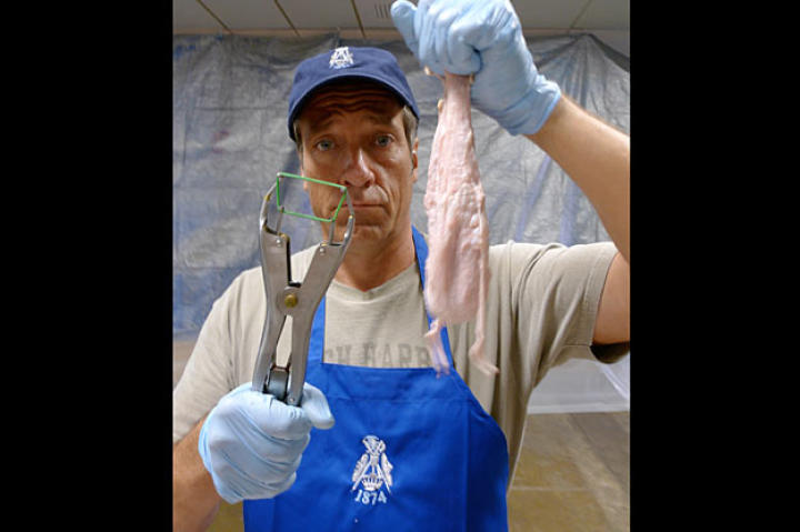 Mike Rowe traveled to Mobile, Ala., to work with the Knights of Revelry, a 137-year-old secret society that makes cow bladders every year for their "Folly" float in the Mobile Mardi Gras parade.