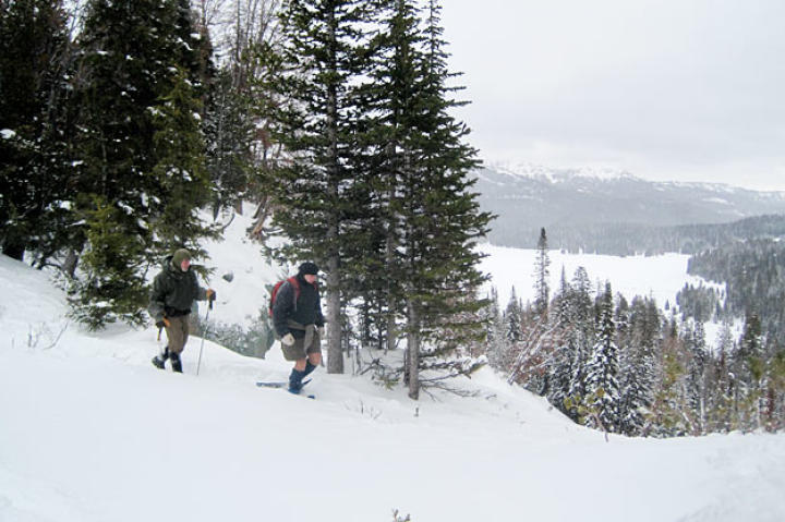Cody (wearing the only pre-supplied pair of snowshoes) and Dave carefully approach a frozen waterfall that offers a faster route down the mountain.