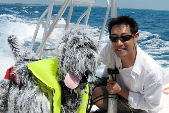 Do dogs splashing about in the water attract sharks? Grant Imahara put his robot-making skills to good use for Shark Week 2008.