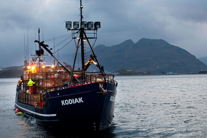 KODIAK