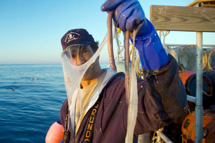 Slimy eels are slimy and dirty.
