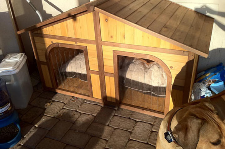It's freezing out. Good thing we got the dog house. Need to put heater in! Now if only they would go in it. (Nov. 29, 2010)
From Paul Junior's Twitter feed.