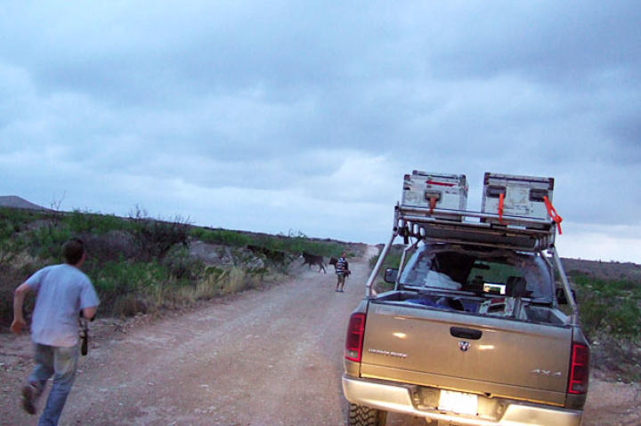 On a back road in Tornado Alley, Matt hustles to help Brandon and the production crew deal with a livestock roadblock.