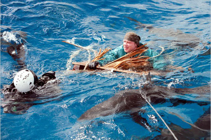 Cody's raft gives out and he's left floating on a driftwood pallet in a swarm of sharks.