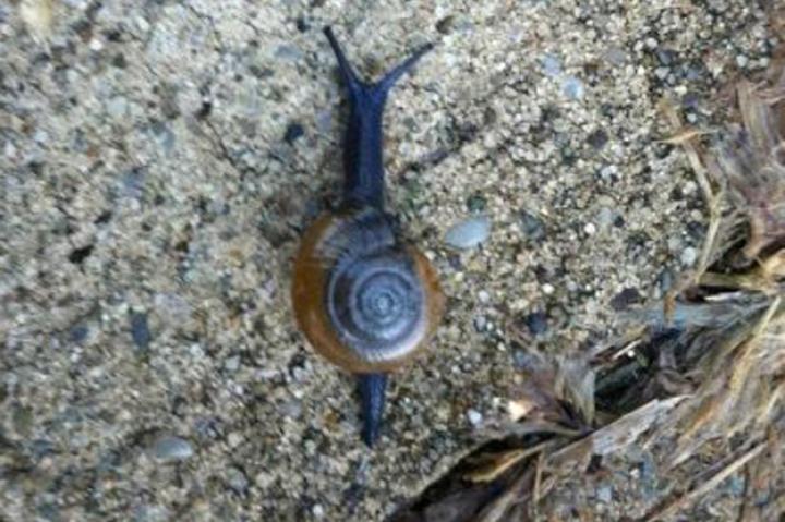 Spotted by mixpix9 in Ohio, United States