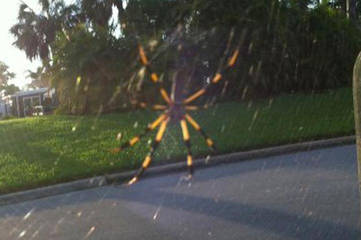 Spotted by SciSpy user