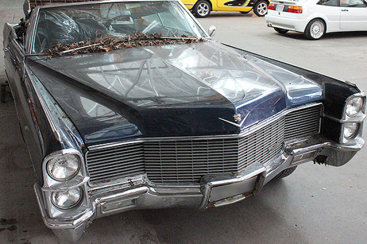 The Cadillac arrives at Fantomworks full of leaves and dirt.