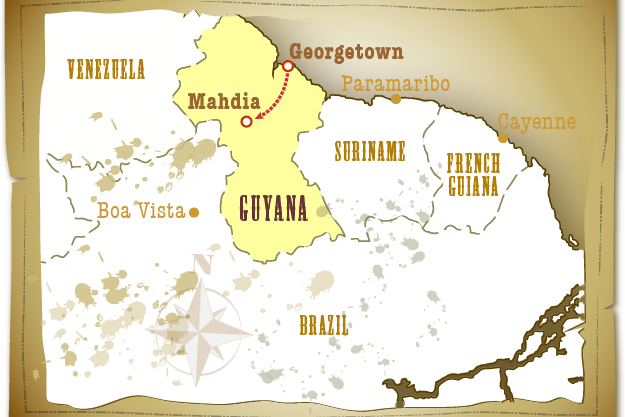 Guyana Gold