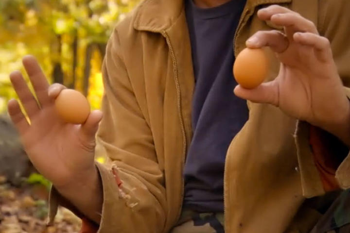 There's nothing like an early morning stroll through the backwoods - and that can certainly build up an appetite. What to do? Enter Turtleman! All you'll need is some eggs, an orange, a long piece of wire and FIRE. GO!