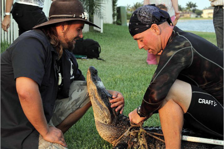 As seen on Gator Boys, only on Animal Planet.