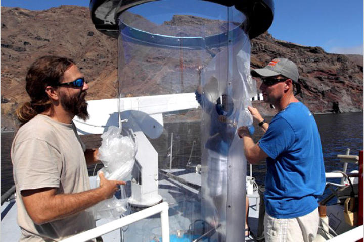 This contraption is called a "shark tube." Made of polycarbonate plastic, the shark tube is only a quarter of an inch thick, but strong enough to resist a great white — at least, shark expert Chris Fallows (right) hopes it is.