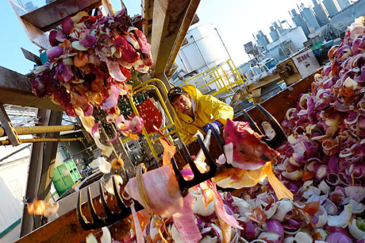 These may look like flower petals, but Mike Rowe is posing with onions. That's right, onions.