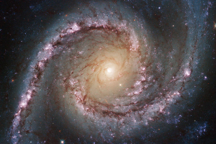 Grand Swirls, otherwise known as NGC 1566