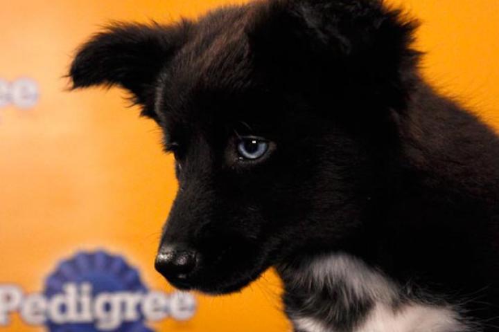 Name: Abilene