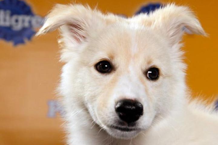Name: Aberdeen