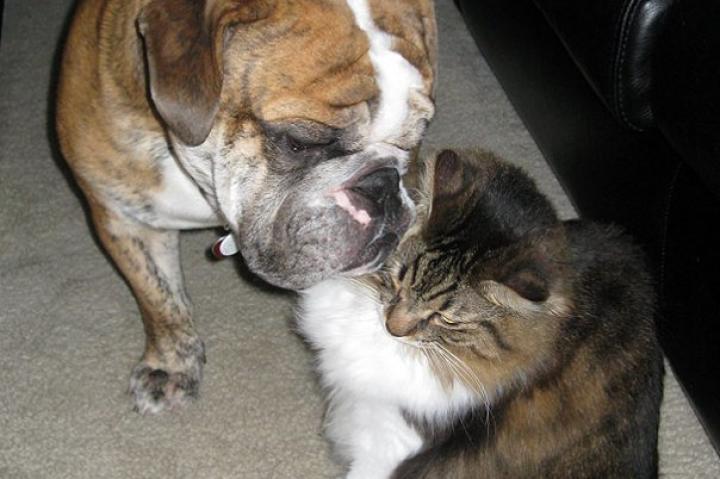 A Funny Pair: Submitted by Kristin A.-