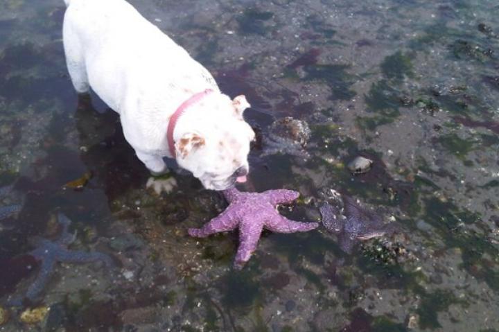 Lilly: Submitted by Jonathan T.-
