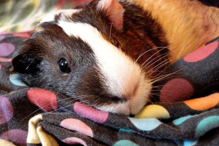 Warm and Cozy: Submitted by Caitlin C.-