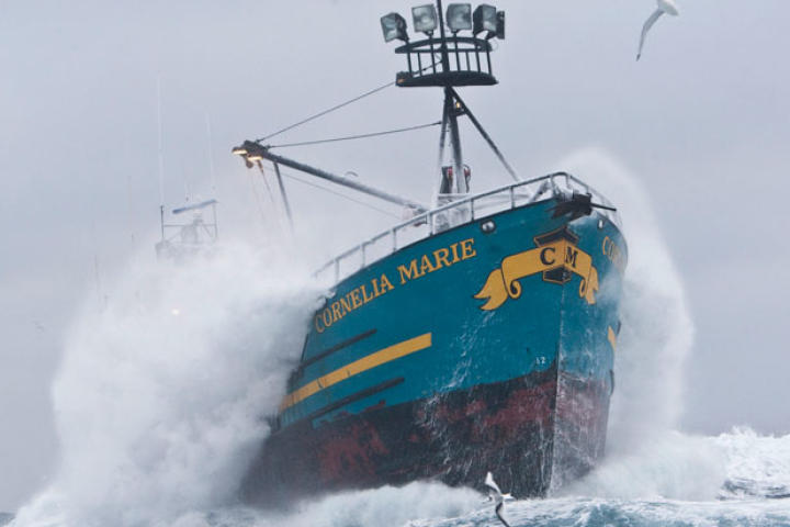 The Cornelia Marie plows through frigid seas during the 2010 Opilio fishing season. Capt. Phil's boat got a later start than the rest of the fleet because she was undergoing repairs following a collision with a reef.