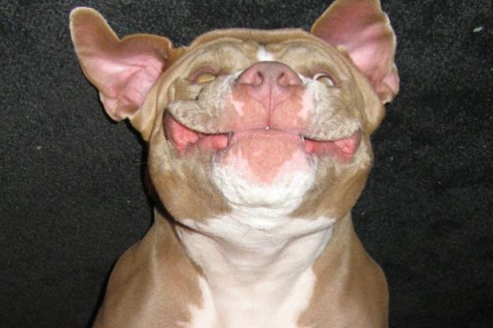 Zipperton: Submitted by Leona A.