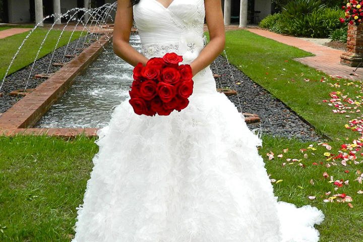 Michelle's Wedding Dress