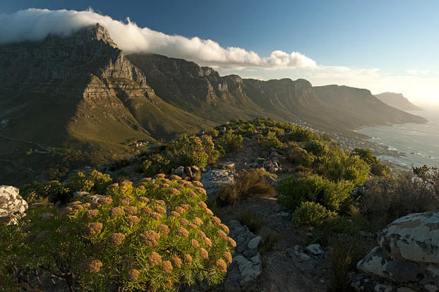 Table Mountain shrouded beneath the billowing "Table Cloth" clouds. This icon of the continent overlooks Africa's southernmost tip, the Cape of Good Hope, where the cold Atlantic Ocean meets the warm Indian Ocean to create spectacular clouds over Table Mountain. But the interaction between these two great oceans does more than just create clouds; it shapes the whole of Africa's southern Cape.