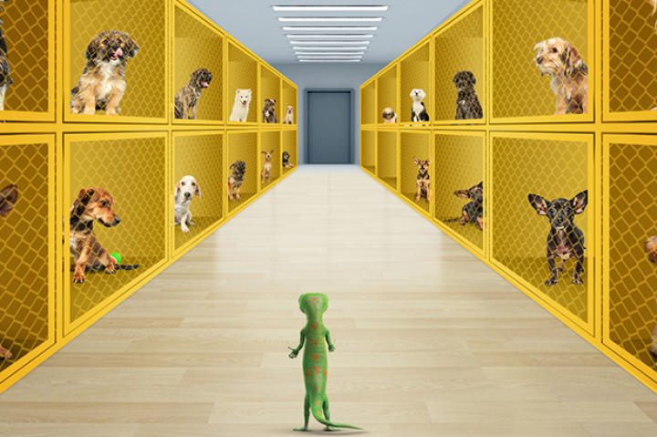 After talking with the pups, he decides they are the perfect contenders for Puppy Bowl X.