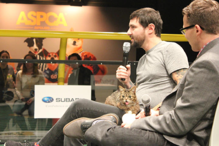 Lil Bub and her dude, Mike Bridavsky, answer questions.