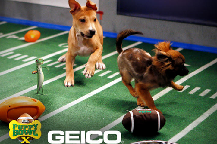 With a good game of chase as a close second.