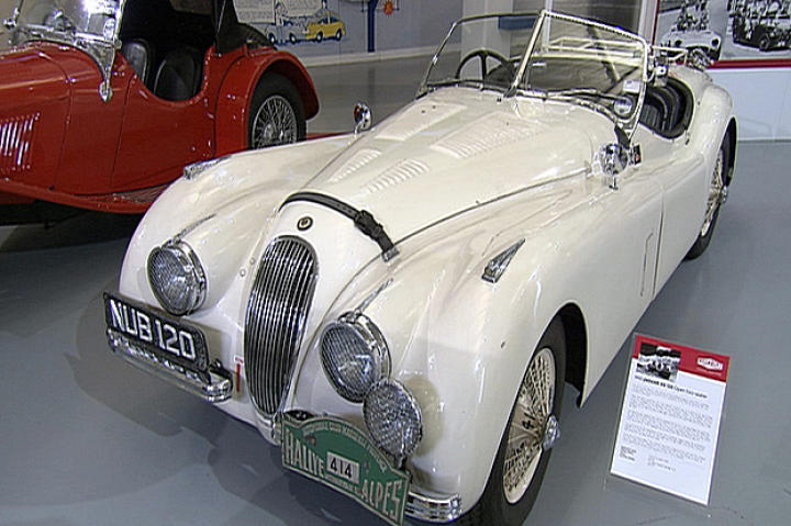 Jaguar.