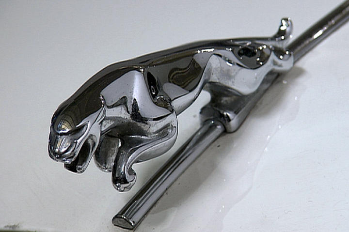 Jaguar.
