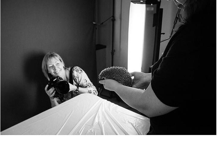 Washington Post photographer, Linda Davidson, visits the set to capture some of the action of Henry the hedgehog.