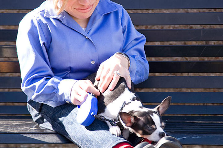Jen with Rocky in the park.