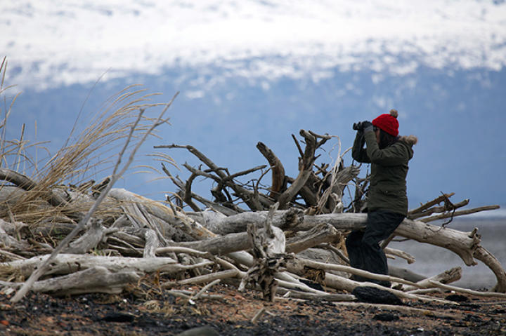 Jane perches upon a fallen tree, while looking through binoculars to scout the bluffs for a bear.