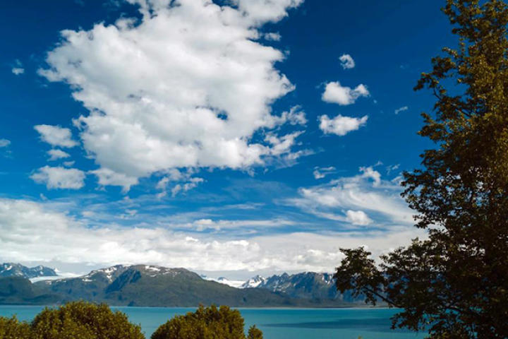 Kachemak bay in late spring, full of colors and life.
