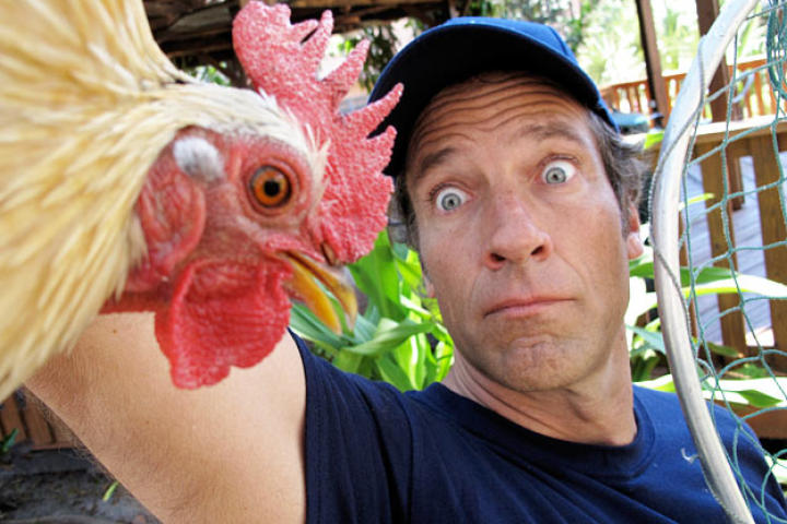 Mike Rowe poses for cameraman Troy Paff during a break from wrangling the stray chickens that roam the neighborhoods of Miami. (Speaking of Miami's wild chickens, who knew?)