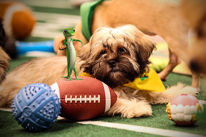 quarterback