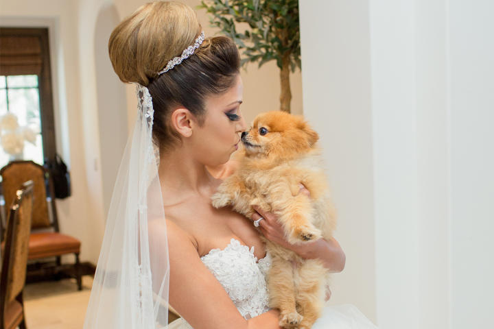 05-SYTTD-the-big-day-303