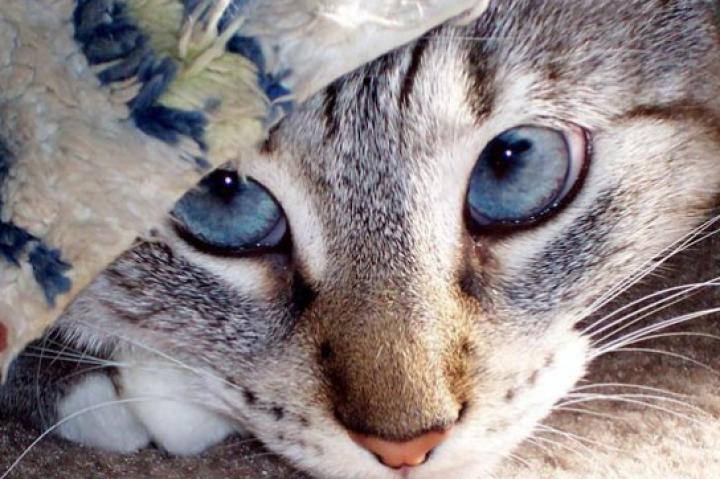 You Found Me!: Submitted by Mia B.-