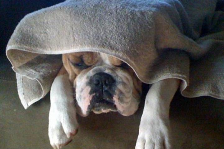 Do Not Disturb: Submitted by "Sam - H1 Base"-