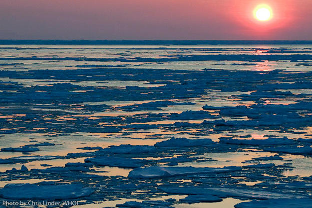 The Bering Sea, where the boats of Deadliest Catch do their work, is not known for toasty warm weather. But still, some years are colder than others. The last two winters have been particularly chilly — and they've been huge years for ice. The last time the ice came this far south was in the early 1970s, when scientists first used satellites to monitor the ice.