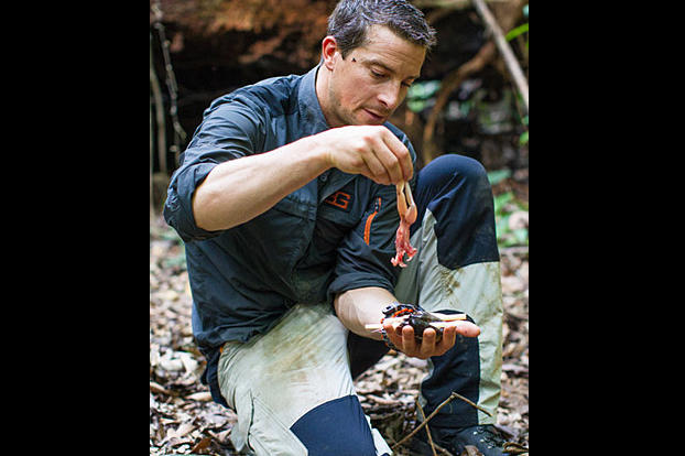Always move through dense jungle with a machete or stick leading the way. As Bear demonstrates, this keeps your hands safe from nasty surprises like snakes and spiders.