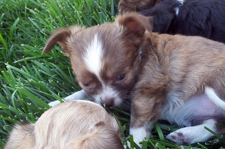 Tiny and cute!
