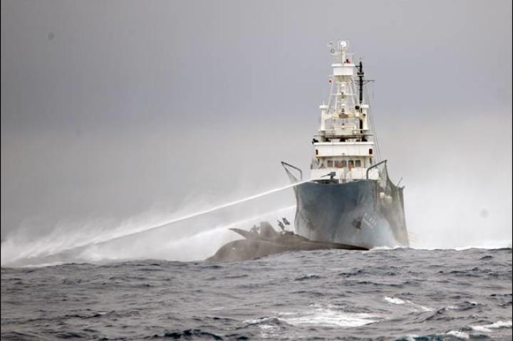 The bow of a Sea Shepherd anti-whaling boat, the Ady Gil, was broken off when a Japanese vessel collided with the much smaller six-person craft in the waters near Antarctica on Jan. 6. The crew members on the 78-foot carbon-fiber and Kevlar trimaran were transferred to another nearby Sea Shepherd vessel, but the $1.5 million Ady Gil was unsalvageable and left sinking in the Southern Ocean. The Japanese whaler, Shonan Maru No. 2, had no apparent damage.<br /><br /> Whalers and anti-whaling activists frequently clash in the cold Antarctic waters as the Sea Shepherd Conservation Society sends boats to disrupt the hunts. Ropes to tangle propellers and rudders, stink bombs, sound equipment and other tactics are used by the anti-whaling activists to interfere with the whaling.