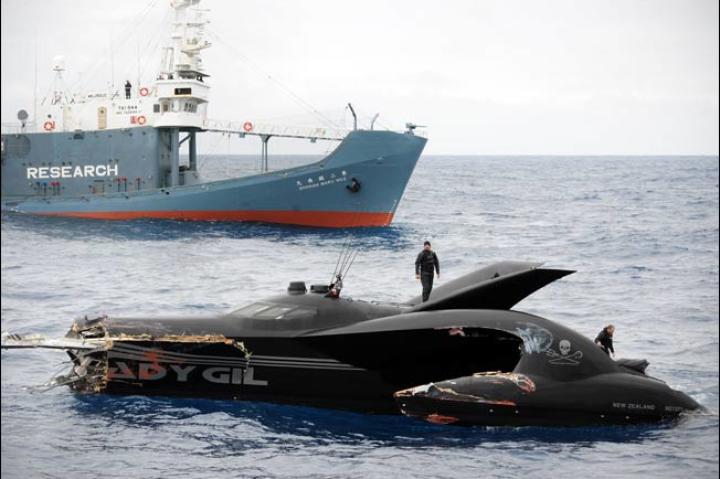 Of the six crew members aboard the Ady Gil, only one sustained minor injuries -- WHALE WARS cameraman Simeon Houtman of New Zealand.