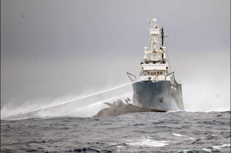 The bow of a Sea Shepherd anti-whaling boat, the Ady Gil, was broken off when a Japanese vessel collided with the much smaller six-person craft in the waters near Antarctica on Jan. 6. The crew members on the 78-foot carbon-fiber and Kevlar trimaran were transferred to another nearby Sea Shepherd vessel, but the $1.5 million Ady Gil was unsalvageable and left sinking in the Southern Ocean. The Japanese whaler, Shonan Maru No. 2, had no apparent damage.<br /><br /> Whalers and anti-whaling activists frequently clash in the cold Antarctic waters as the Sea Shepherd Conservation Society sends boats to disrupt the hunts. Ropes to tangle propellers and rudders, stink bombs, sound equipment and other tactics are used by the anti-whaling activists to interfere with the whaling.