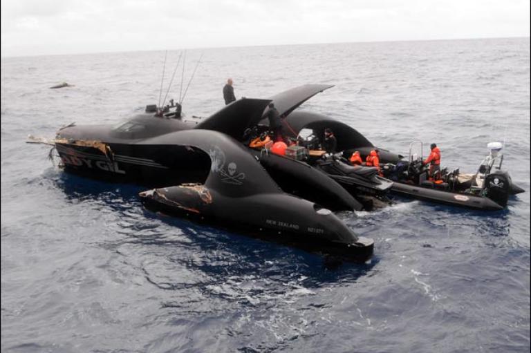 The Sea Shepherd Conservation Society, which owns the Ady Gil and the Institute of Cetacean Research, the Japanese group that carries out the hunts, disagreed on who was responsible for the crash.
