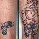 The transition from George Bush to circus bear!