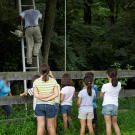 The kids watch pensively as their new treehouse is constructed.
