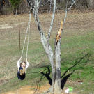 One of the Bates girls swings in the yard.